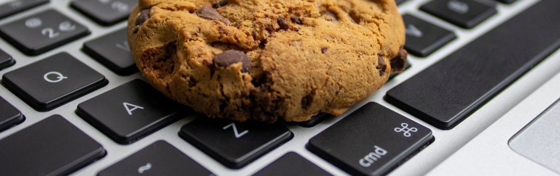 Cookie on laptop computer